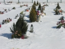 Pierwsze dni kalendarzowej wiosny - minus 10 w dzień - a za tydzień ¦więta
